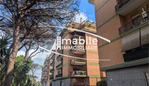 Ostia Levante, Via Adolfo Gregoretti, Luminoso Bilocale con Balconata e Cantina